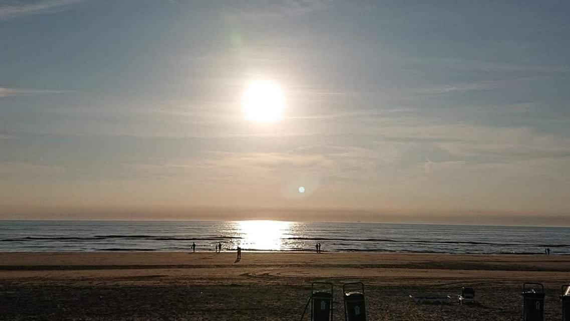 Beach&Dunes Apartment 잔드보르트 외부 사진