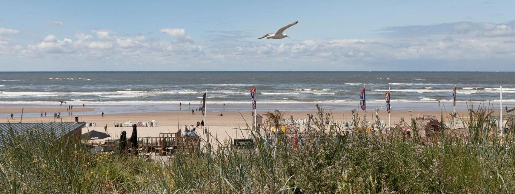 Beach&Dunes Apartment 잔드보르트 외부 사진