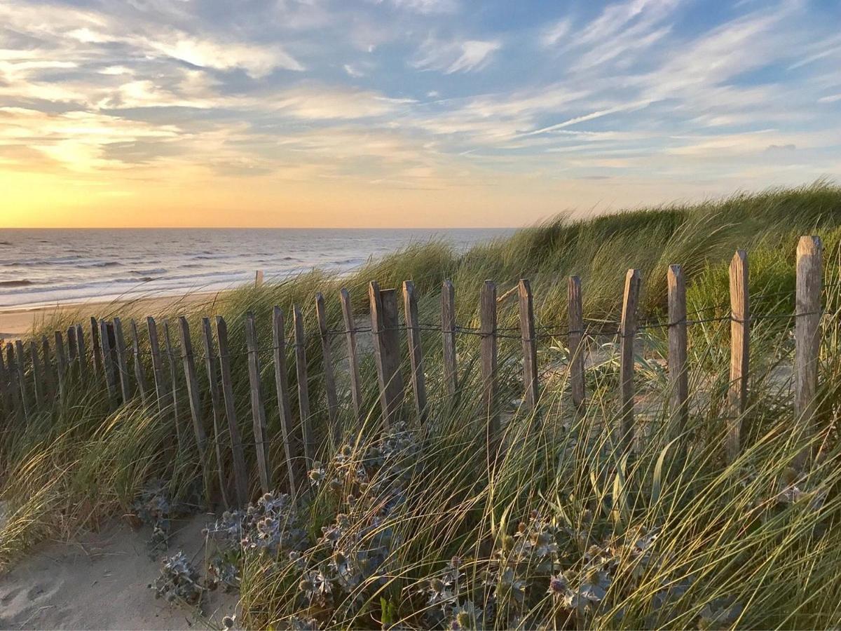 Beach&Dunes Apartment 잔드보르트 외부 사진
