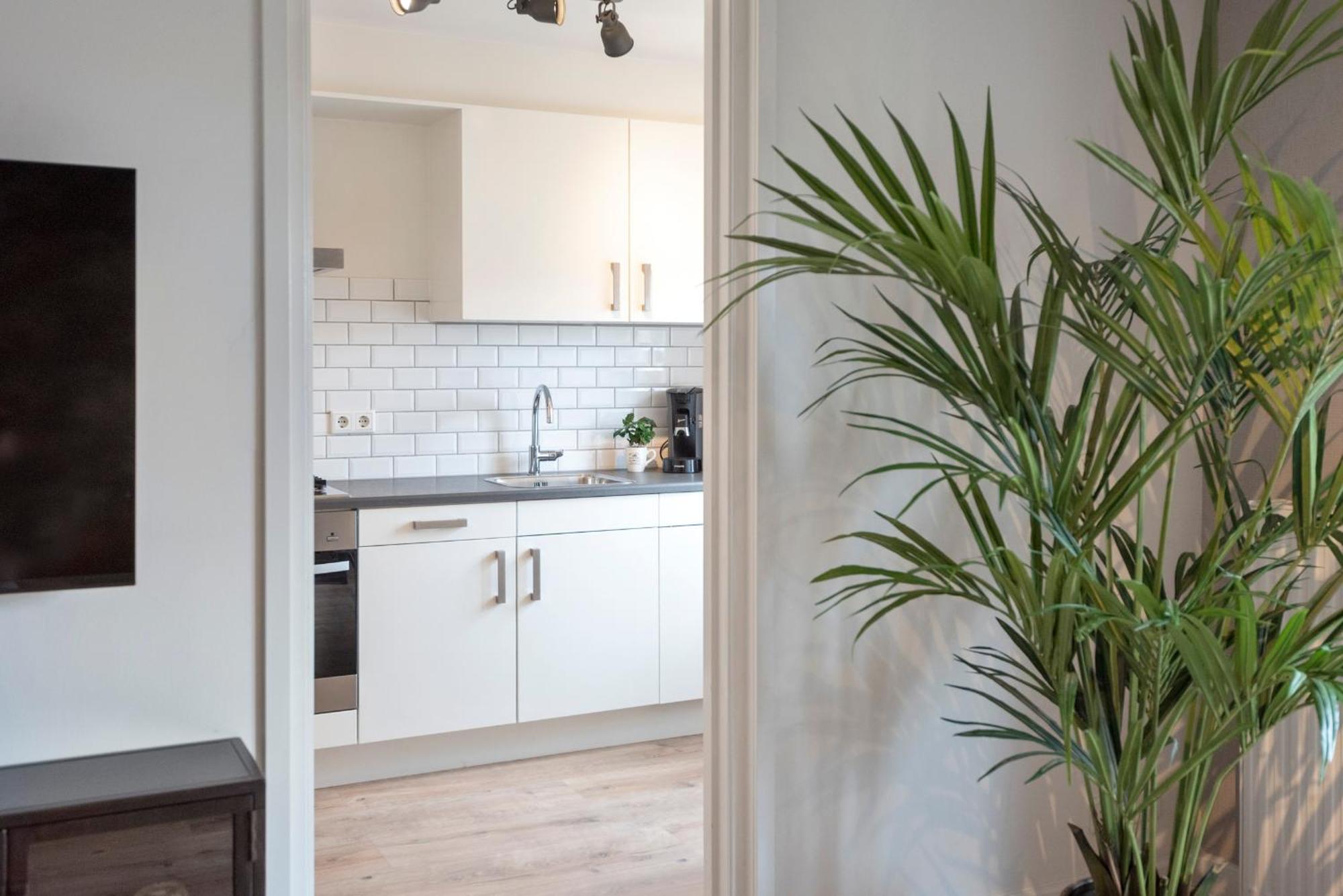 Beach&Dunes Apartment 잔드보르트 외부 사진