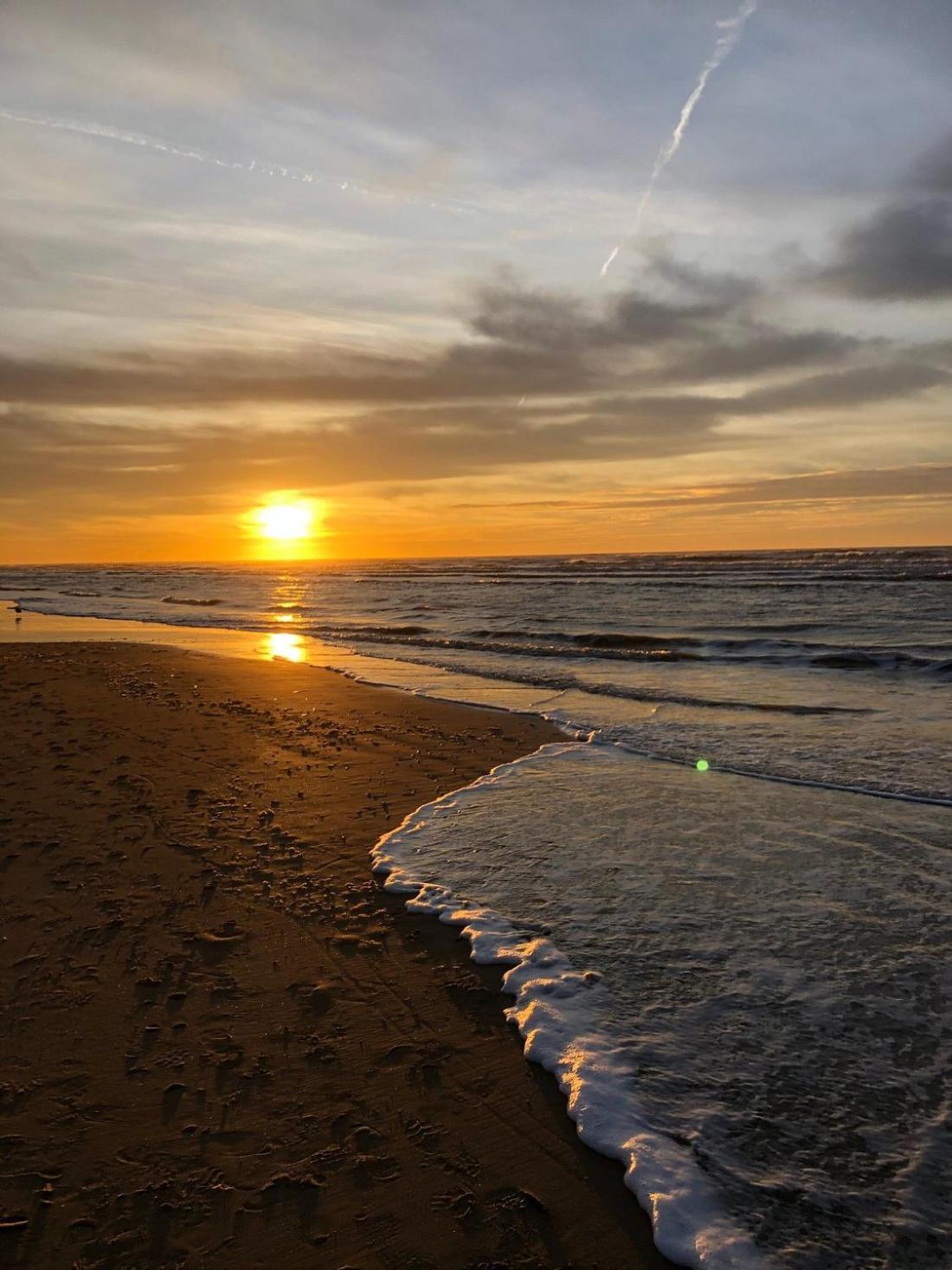 Beach&Dunes Apartment 잔드보르트 외부 사진