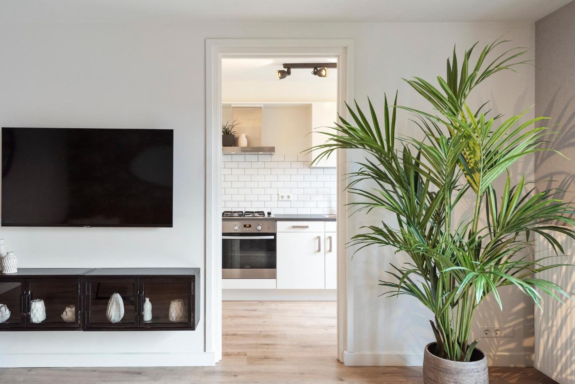 Beach&Dunes Apartment 잔드보르트 외부 사진